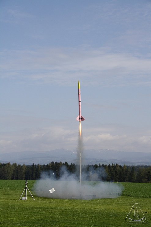 2013 Svojek Mirek Topinka